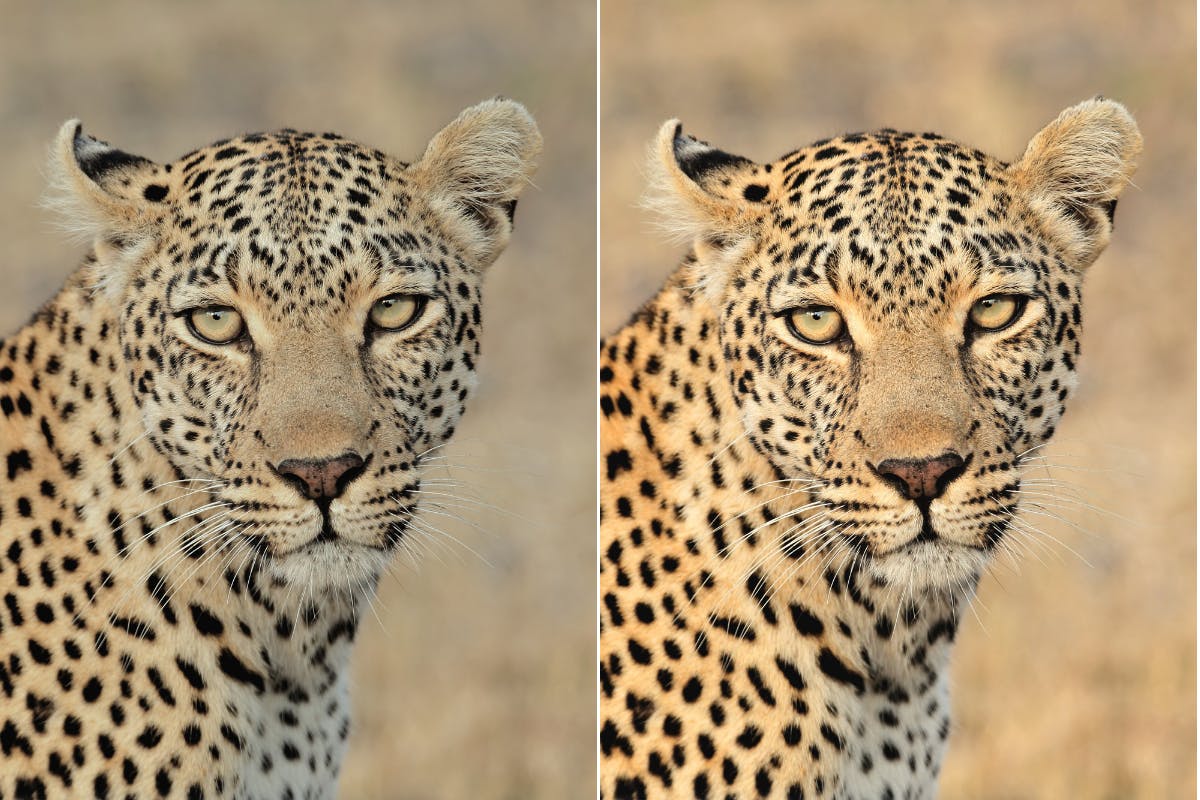 Quantum Laser Nemesis II Series