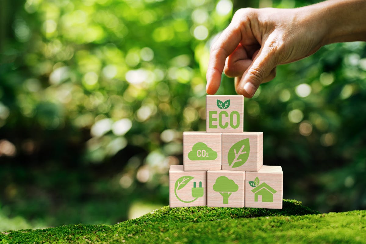 Quantum Laser Nemesis II Series